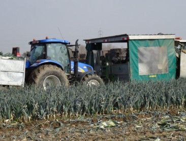 Zestien ecosysteemdiensten in Vlaanderen uitgeplozen   