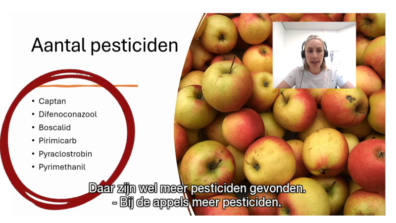 afbeelding (5)