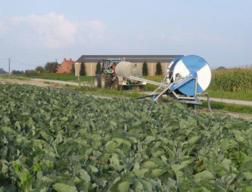 Klimaatverandering brengt voedselveiligheid in gevaar