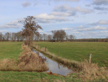 16 gebiedsgerichte projecten en 8 systeeminnovaties tegen droogte en wateroverlast