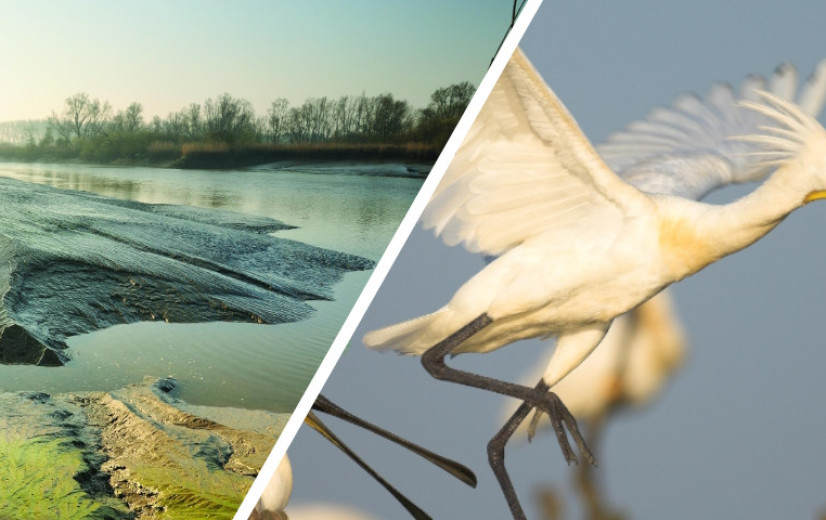 Havenondernemer clasht met natuurorganisaties in jachtdispuut en strijd tegen subsidiestromen