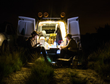 Perceelsranden ideale voedingsbodem voor nachtzwaluw