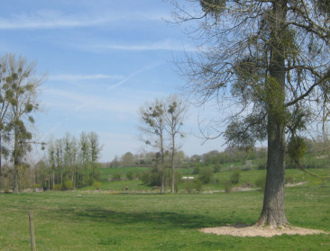 Bijna 1.000 ha landbouwgrond herbestemd als natuur