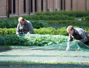 Stadsmoestuin Abattoir wordt stilteplek tegen burn-outs
