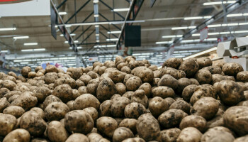 Contractvolumes aardappelen kelderen, Brouns dringt aan om positie telers te versterken