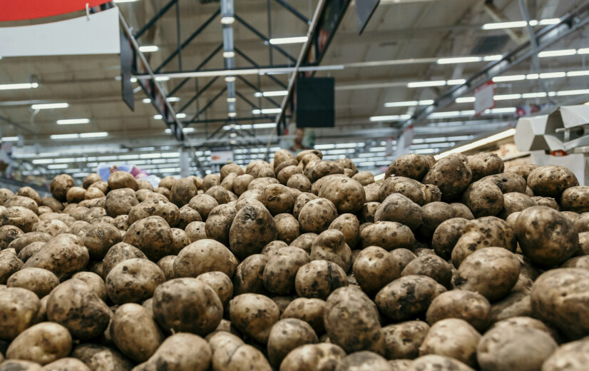 Contractvolumes aardappelen kelderen, Brouns dringt aan om positie telers te versterken