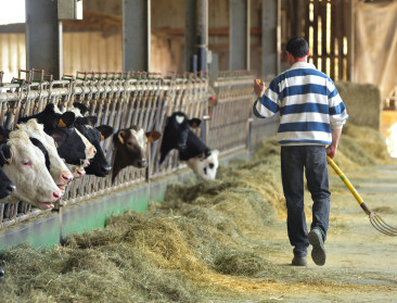 Landbouwers herwinnen vertrouwen: conjunctuur op hoogste peil sinds 2017