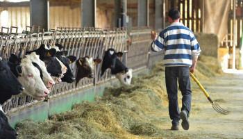 Landbouwers herwinnen vertrouwen: conjunctuur op hoogste peil sinds 2017