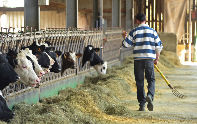 Eenzaamheid in de Vlaamse landbouw: de stille crisis
