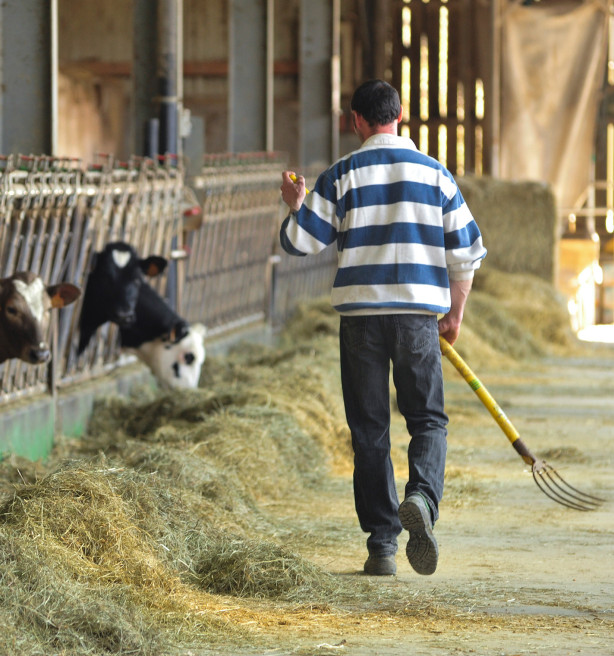 Landbouwers zijn minder tevreden over hun economische situatie