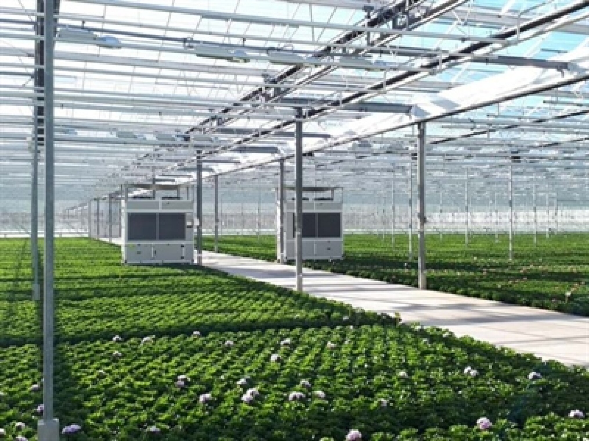 Bedrijfsbezoek rond nieuwe technologieën in glassierteelt