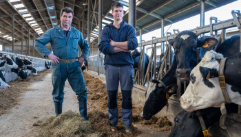 Getuigenissen uit getroffen stikstofgebied in de Kempen: “Alles zag er zo mooi uit”