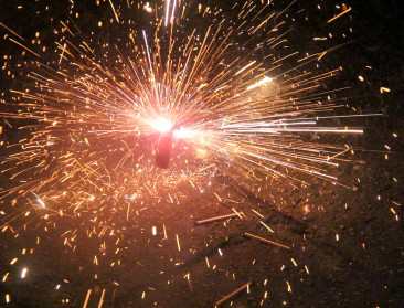 "Vuurwerk kan dierenlevens verknallen"