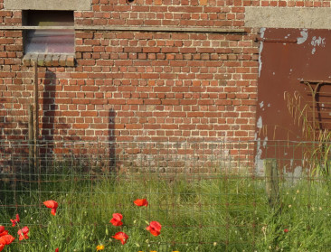 Agrarisch hergebruik van landbouwinfrastructuur