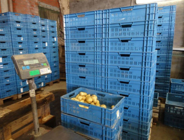 Ton aardappelen dankzij eerste Vlaamse Patathon