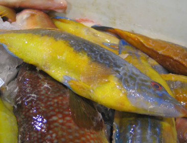 Verlies toegang tot Britse wateren nekt visserijsector