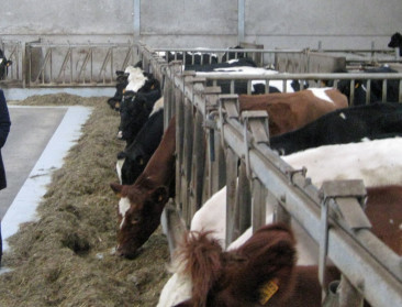 "EU zet noodzakelijke stap naar meer transparantie"