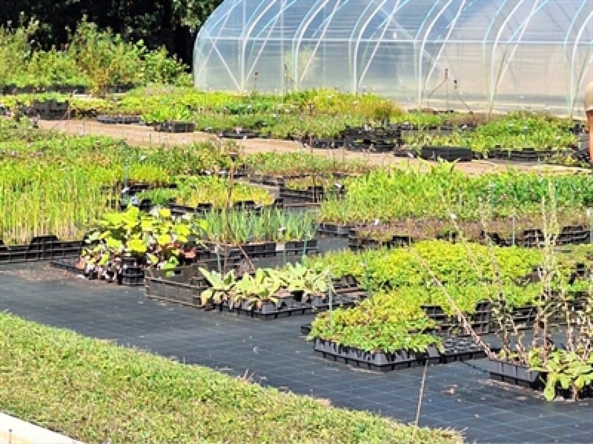 Stakeholdersoverleg Biologische sierteelt in pot