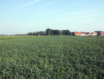 Commissie vult ontbrekende details landbouwbeleid in