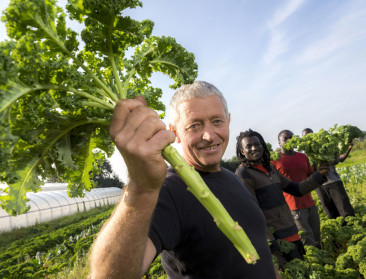 Productiekloof tussen bio en gangbaar wordt kleiner