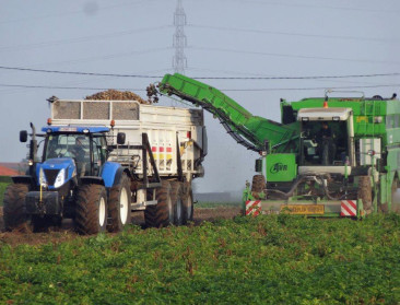 Belpotato roept op tot strikte naleving van aardappelcontracten