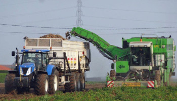 Belpotato roept op tot strikte naleving van aardappelcontracten