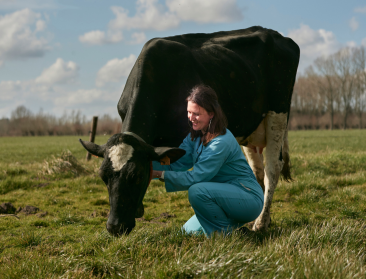 Eerlijke melk, eerlijke prijs: Fairebel wil de sector veranderen