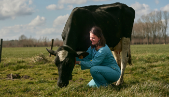 Eerlijke melk, eerlijke prijs: Fairebel wil de sector veranderen