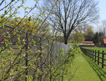 “Meer biodiversiteit en blijere paarden”