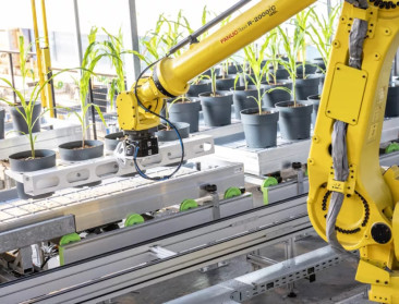 Gentechnologie met een extra laagje AI: Rainbow Crops smeedt de landbouw van de toekomst