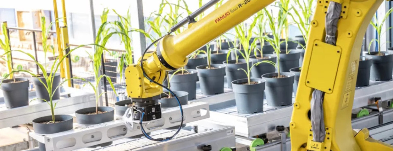 Rainbow Crops - automated phenotyping2