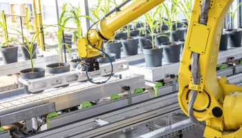 Gentechnologie met een extra laagje AI: Rainbow Crops smeedt de landbouw van de toekomst