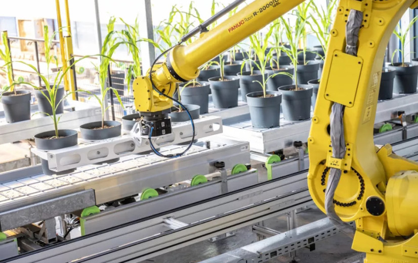 Gentechnologie met een extra laagje AI: Rainbow Crops smeedt de landbouw van de toekomst
