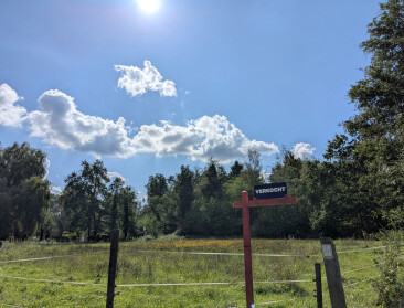 Natuurpunt: “Vlaamse begroting geeft verkeerde richting aan voor natuur”