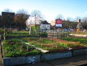 Hoe kunnen steden serieus investeren in stadslandbouw?