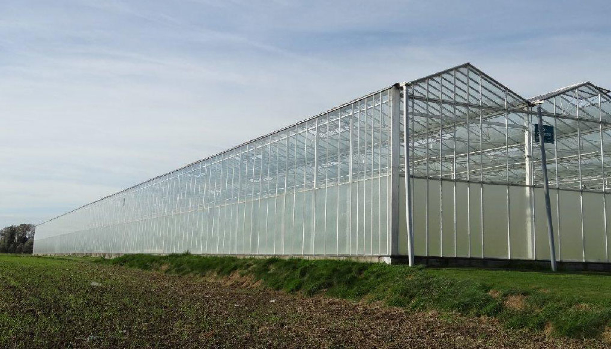 Proefveldbezoek: Beredeneerde irrigatie in bladgewassen onder glas
