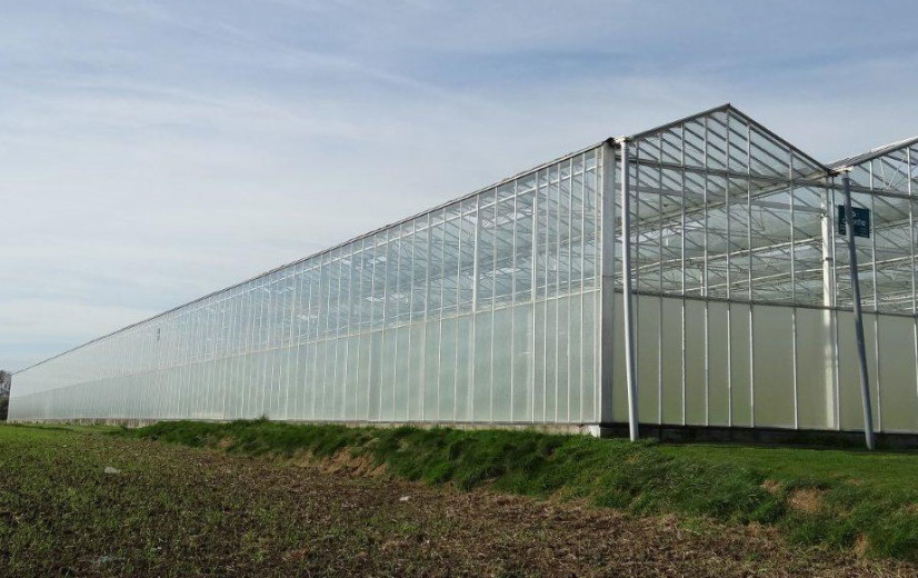 Innovatie in glastuinbouw dankzij Interreg