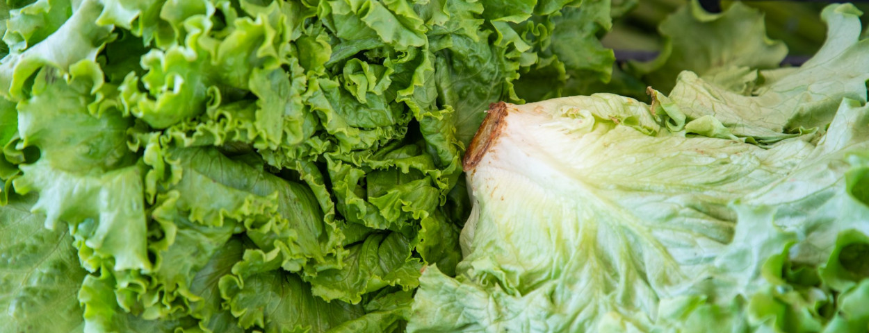 salade_unsplash