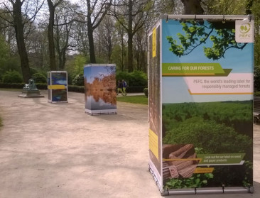 Op de eerste dag van de lente worden bossen gevierd