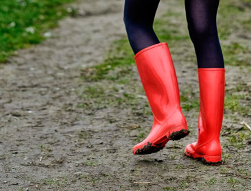 VILT zoekt een redacteur/communicatiespecialist (M/V)