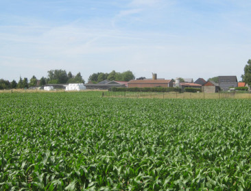 Nog geen akkoord over Beleidsplan Ruimte Vlaanderen