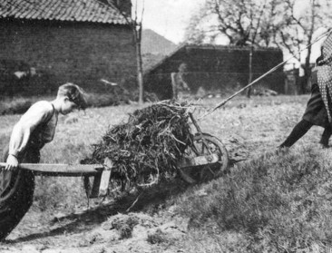 Uit de oude doos: Mest was ooit 'het bruine goud'