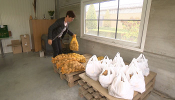 Veldverkenners: hoe bewaar je aardappelen het best?