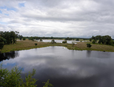 Nog geen intendant voor Turnhouts Vennengebied, studiewerk wordt wel verdergezet