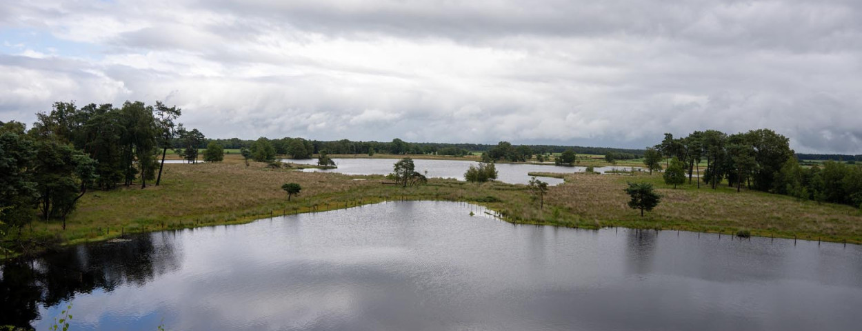 Grote Klotteraard_TurnhoutsVennengebied_ven2