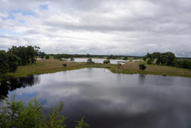 Grote Klotteraard_TurnhoutsVennengebied_ven2