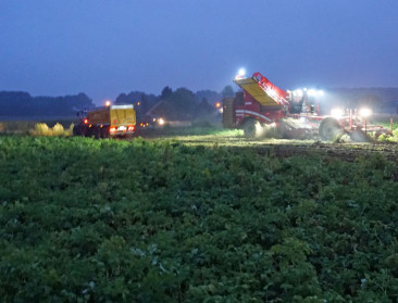 NEPG raamt aardappeloogst op kleine 27 miljoen ton