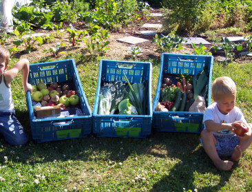 KU Leuven neemt Voedselteams onder de loep