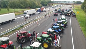 Snelheidsverlaging op autosnelwegen in Nederland zorgde voor meer stikstofneerslag op natuur