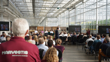 Harvestis officieel gelanceerd als kennispartner voor groente- en aardbeisector